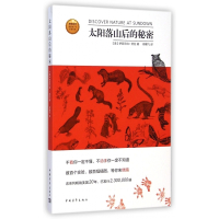 太阳落山后的秘密/发现自然美国青少年科普经典