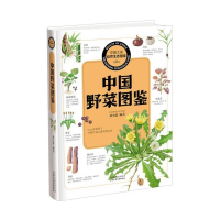 中国野菜图鉴/中国之美自然生态图鉴