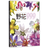 野花999/自然观察