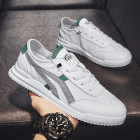 枫述男鞋夏季新款潮流运动休闲鞋男士帆布青年潮鞋子百搭跑步布鞋