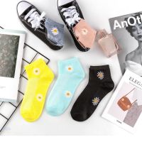 袜子女韩版短袜子男夏季薄款浅口船袜透明隐形袜女小雏菊5-10双