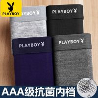 男士内裤男生四角裤抗菌纯棉中腰成人裤衩短裤平角裤