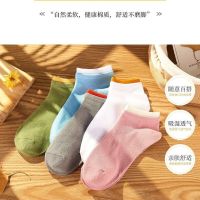 袜子女韩版短袜春秋低帮浅口隐形船袜夏季薄款棉日系ins潮袜