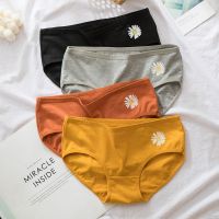 2-4条纯棉内裤女学生韩版少女高初中生性感迷人女士纯色中腰裤头