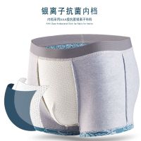 4条装男士内裤纯棉抗菌透气印花个性潮学生平角短裤头