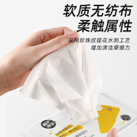 擦鞋湿巾纸巾小包随身装便携免洗鞋神器小白鞋清洗剂运动去污