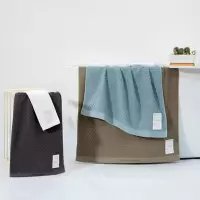 三利逸素抗菌毛巾C8021