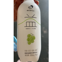 喜茶青提乳酸菌味无糖气泡水500ml