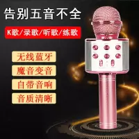 麦克风k歌神器 话筒音响一体麦克风 蓝牙无线通用家用变声器话筒