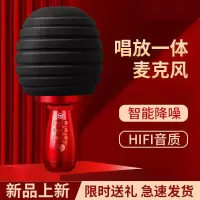 话筒音响一体麦克风手机无线蓝牙家庭KTV卡拉ok全民k歌儿童
