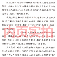 绿拇指男孩 书新蕾出版社莫里斯 杜恩二年级三年级三年级五年级六年级小学生正版必读课外书儿童读物阅读国际大奖小说系列非注音