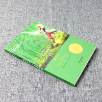 正版国际大奖小说 通往特雷比西亚的桥二三四五六年级小学生课外阅读书籍睡前童话故事书6-8-10-12周岁儿童少儿必读成长