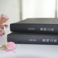 黎明之街 东野圭吾的新书小说集全套 日本悬疑推理侦探小说正版文学书籍 白夜行解忧杂货店嫌疑人x的献身 新华书店文轩网