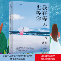正版 我在等风也等你 何小然著 青春文学小说 白茶清欢无别事 你写尽你情感中的痛与希冀青春成长励志随笔集情感故事
