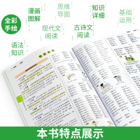 初中语文知识大全2021全国版 初一二三语文知识清单七八九年级基础知识手册 pass绿卡图书789年级教材辅导资料 中考