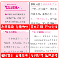 [带知识考点]金银岛 正版书免邮原著斯蒂文森著正版书五年级必读经典文学名著小说书籍小学生四年级原版青少年学生版课外书