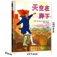 天空在脚下 四年级必读河北教育出版社麦卡利著绘本小学生课外书正版老师指定课外阅读书籍儿童读物4年级班主任推荐少儿书籍