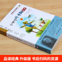 小学生叶圣陶读本 彩色插图 名家文学读本7-8-9-10-11岁小学生儿童文学推荐读物 三四五年级课外推荐阅读 名家文学