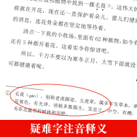 [竞赛考题无删减版]森林报春夏秋冬比安基著全套四册合本人教版小学生三四五六年级上册阅读课外书阅读书籍5年级正版青少年