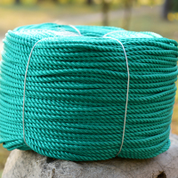 尼龙绳子捆绑绳塑料绳聚乙烯绳大棚压膜绳养殖园艺植物攀爬绳 2毫米20米