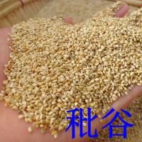 秕谷谷壳黍子荞麦壳秕谷子带枕芯皮谷秕子糠壳瘪谷子枕头 秕谷2斤(带25*40枕芯皮)