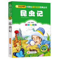 [4本28元]昆虫记 注音彩图版正版 金波读书熊系列 1-2-3一二三年级6-7-8-9-10岁班主任推荐小学生儿童