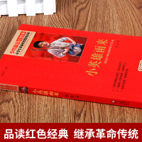 小英雄雨来正版六年级小学生必读课外书正版管桦著四年级新课本必读三四五六年级全套原著童年爱的教育课外书籍北京教育出版社