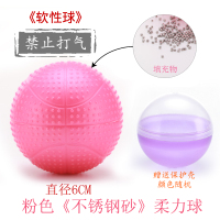 新款柔力球球 不锈钢砂柔力球 太极标准比赛柔力球一个 粉色《不锈钢砂》柔力球
