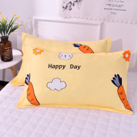 枕套一对装枕头套成人男女枕芯套加厚双人枕罩枕芯套48x74cm单人 网红萝卜 48cmX74cm