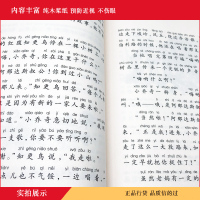 [晨晔网 正版] 兔子坡注音版 插图 一二年级小学生课外书 必读故事书7-8-9-10岁少儿童读物 班主任推荐阅读