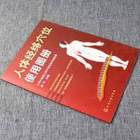 人体经络穴位使用图册 人体经络穴位用书保养基础知识大全 中医全身人体经络穴位常见病治疗书籍按摩养生图书籍正版