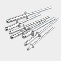 优质拉毛钉铝制拉钉抽芯开口拉铆钉装卯钉散装拉铆钉 4*10(2斤)送钻头