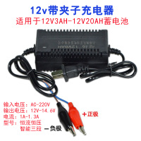 12v伏农用电动喷雾器水泵智能泵洗车泵小马达小水泵隔膜泵自吸泵 夹子充电器（转换器）