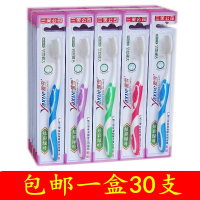 三笑公司细丝软毛成人家用洁白去渍牙齿柔软细毛牙刷 10支