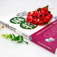 正版 麻将赢牌技巧 麻将书必胜技巧大全秘籍入门手法教学攻略出千技巧麻将实战技巧指导打麻将的书通俗麻将技巧书籍棋牌类书