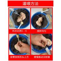 鸽乳0-7-30天8-30天喂食器乳鸽饲料幼鸽奶粉人工鸽乳鸟食饲18