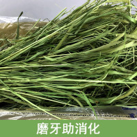 20年新烘烤提摩西干草1kg兔子草粮龙猫草饲料荷兰猪粮食牧草 磨牙助消化