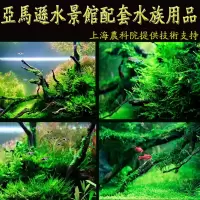水草液肥螯合铁肥 硝化菌 水草营养液 水质稳定剂 活性钾肥 250ML硝化菌