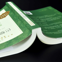 巴黎圣母院 正版原著 雨果 陈敬容人民文学出版社版《语文》推荐阅读丛书 初中生高中生青少年版书籍ws