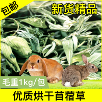 新货精品紫花苜蓿草 兔粮兔子龙猫荷兰猪兔绿新鲜牧草毛重1kg