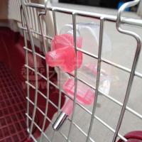 全国 台湾Herchy禾祺龙猫兔子 仓鼠水瓶饮水器水壶滚珠不漏水 70CC(适合仓鼠和蜜袋鼯)