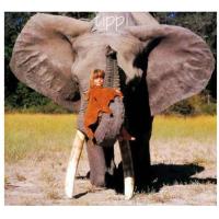 我的野生动物朋友正版全新完整版蒂皮·德格雷人与自然科学少儿科普8-10-12岁一二三年级小学生课外必读书籍非注音正版