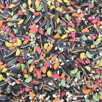 中大型小太阳和尚亚历绯胸灰鹦鹉折衷葵花饲料鸟粮滋养丸 5斤