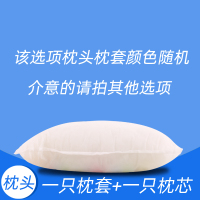 枕头单人枕芯送枕套学生宿舍成人一个装男女可爱护颈低枕一对拍2 随机款式(枕芯+枕套)