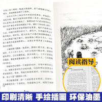 草原上的小木屋/全球儿童文学典藏书系 儿童文学名家经典书系 指定小学生阅读书目 9-12-15岁三四五六年级小学生课外