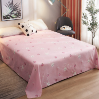床单 单人双人床学生宿舍单件被单磨毛冬天ins水洗棉防滑单子1.5m 草莓园 [单床单]1.2mx2.1m