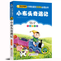 小布头奇遇记注音彩图版正版孙幼军著小学生语文 读丛书一年级二年级课外书儿童读物6-7-8-10岁少儿书籍图书小学生故事