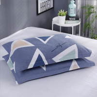 韩式枕套枕头套情侣可爱成人双人一对装大号学生宿舍单人枕用春天 信封款-似水流年[枕套2只] 48cmX74cm