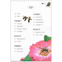 [5本33元]森林报全集书 学生版 读物经典文学名著 名校名师全解版北京日报出版社中国学生成长读物的名著