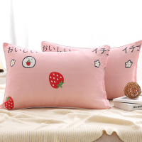 ins枕头 一只装学生宿舍单人韩式可爱女生双人家用一对枕芯带枕套 粉色草莓（1枕芯1枕套）